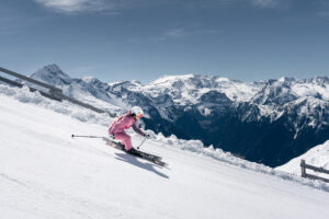 Resort - Ski area