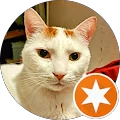Sean Roxburgh Avatar