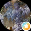 Živa I. Avatar